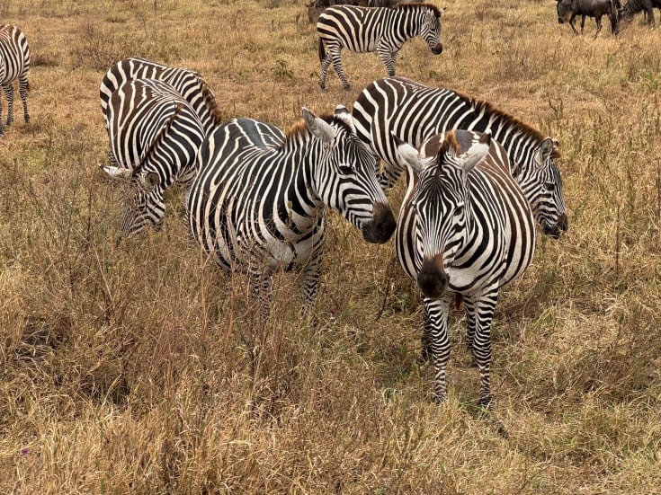 3 Days Safari
