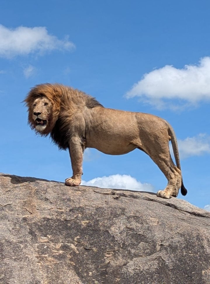 6 Days Safari